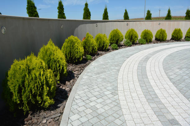 Best Decorative Driveway Pavers  in Pinckney, MI